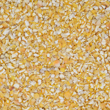 Bio-Mais geschrotet grob