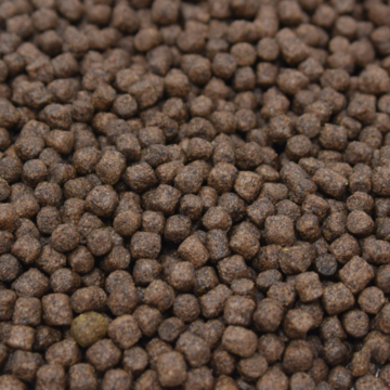 Karpfenfutter
