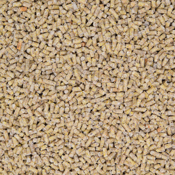 Legehennenfutter pelletiert