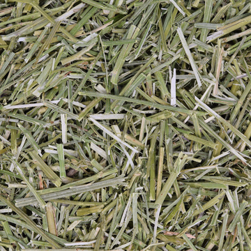 Alfalfa-Heu