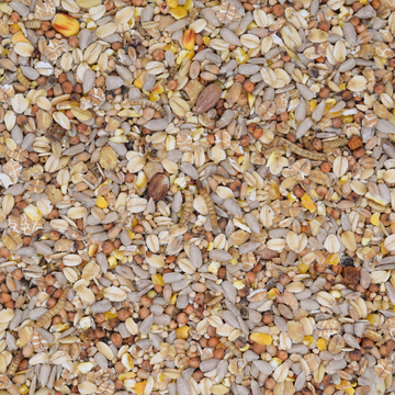 Wildvogelfutter Deluxe mit Insekten