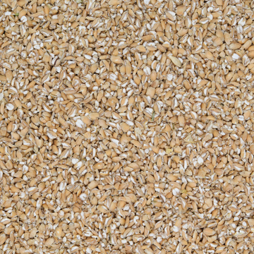 Weizen geschrotet grob
