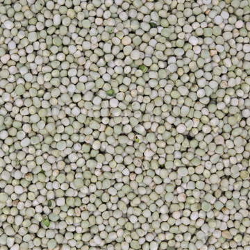 Erbsen grün klein