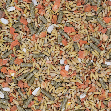 Meerschweinchenfutter