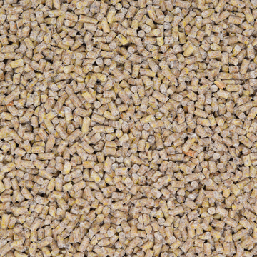Wachtel- Legepellets