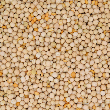 Erbsen gelb