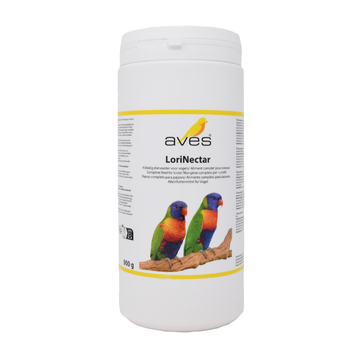 Lori Nectar Aves