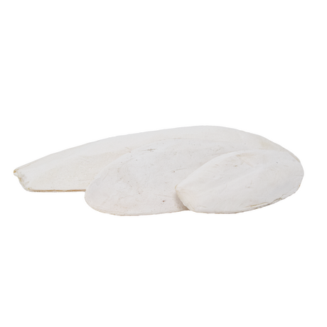 Sepiaschalen