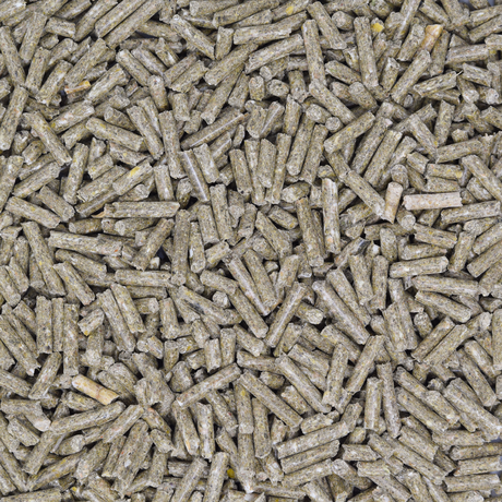 Meerschweinchenpellets