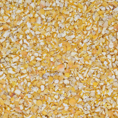 Bio-Mais geschrotet grob