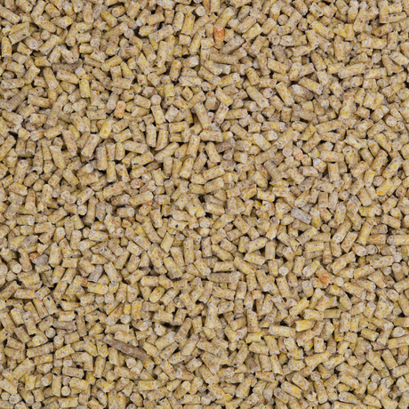 Geflügelmastfutter pelletiert
