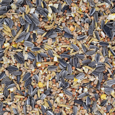 Wildvogelfutter Winter mit Insekten