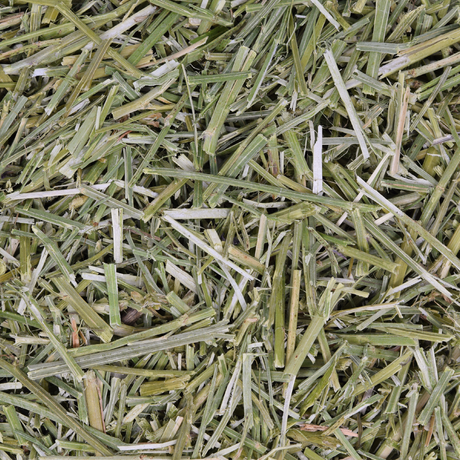 Alfalfa-Heu