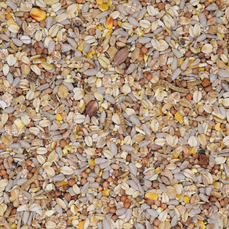 Wildvogelfutter Deluxe mit Insekten
