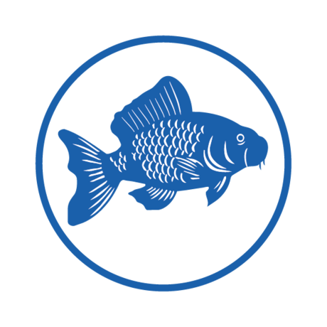 Karpfenfutter