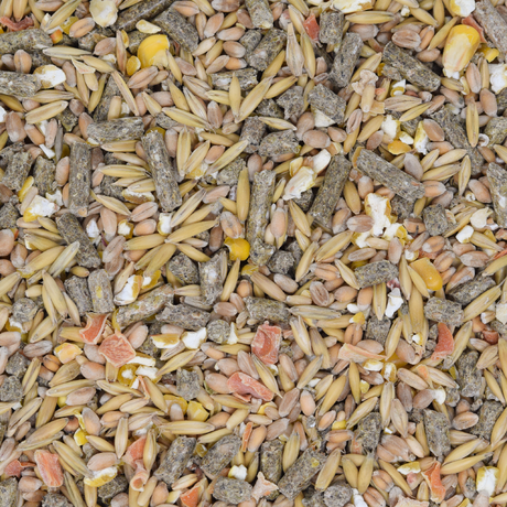 Zwerghasenfutter
