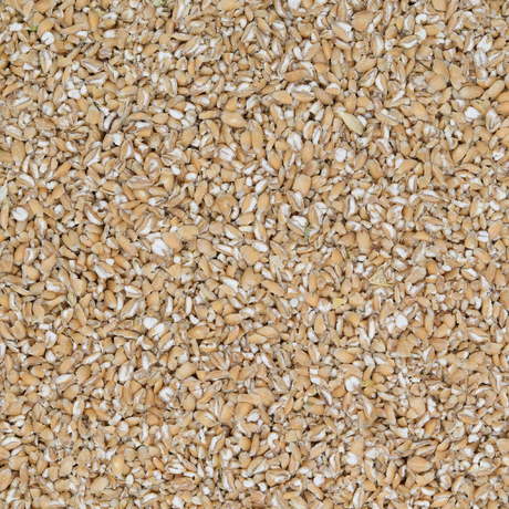 Weizen geschrotet grob