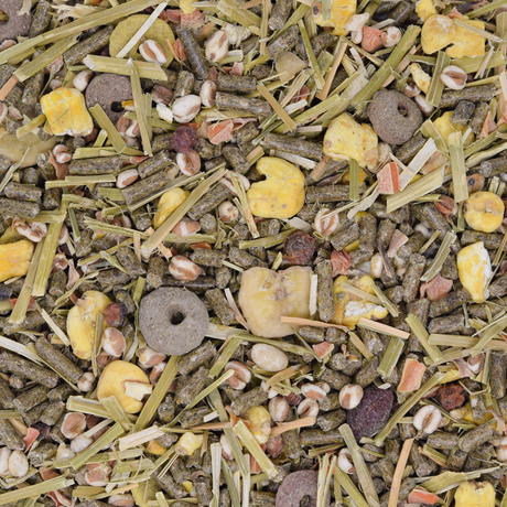 Chinchillafutter