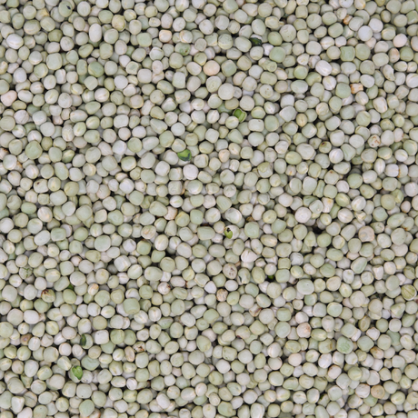 Erbsen grün klein