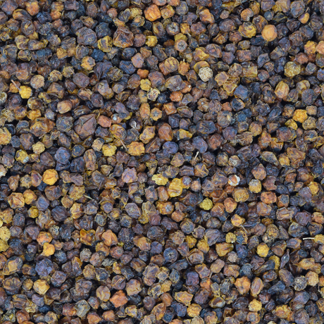 Ebereschenbeeren