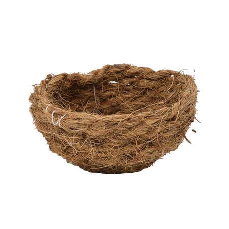 Nesteinleger Cocos