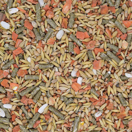 Meerschweinchenfutter