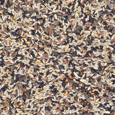 Waldvogelfutter