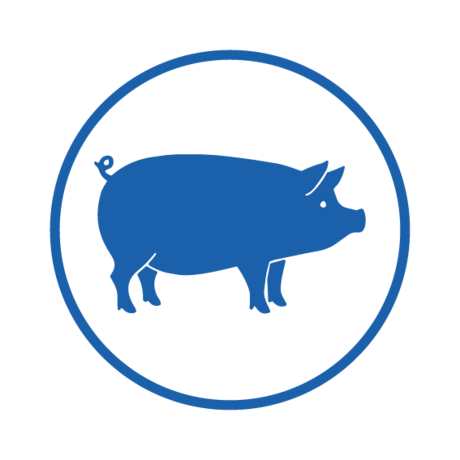 Schweinefutter