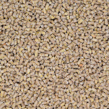 Wachtel- Legepellets