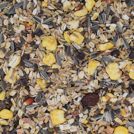 Ratten- Hauptfutter Layka´s