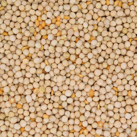 Erbsen gelb