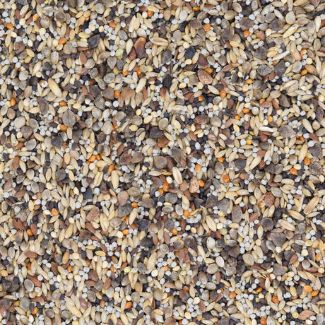 Waldvogelfutter 3