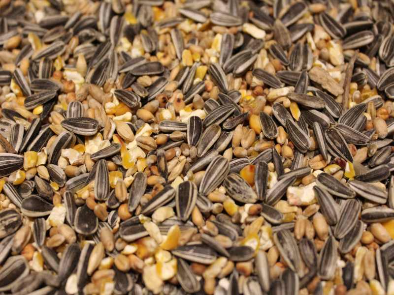 Wildvogelfutter "4 Jahreszeiten"