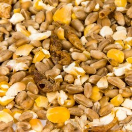 Hühnermischfutter mit Garnelen + Grit